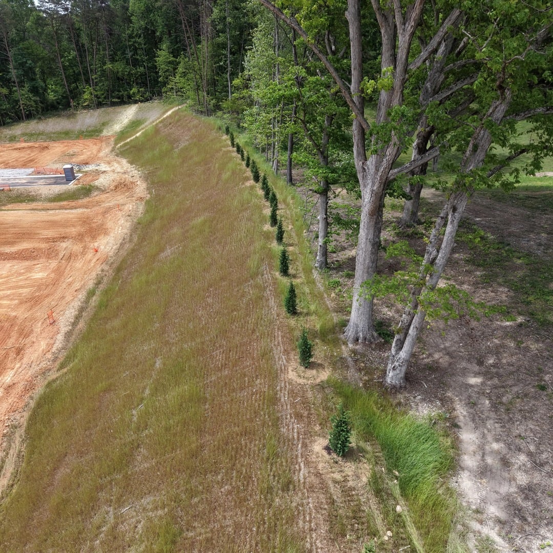 Oak_Vista_Trees_1__IG